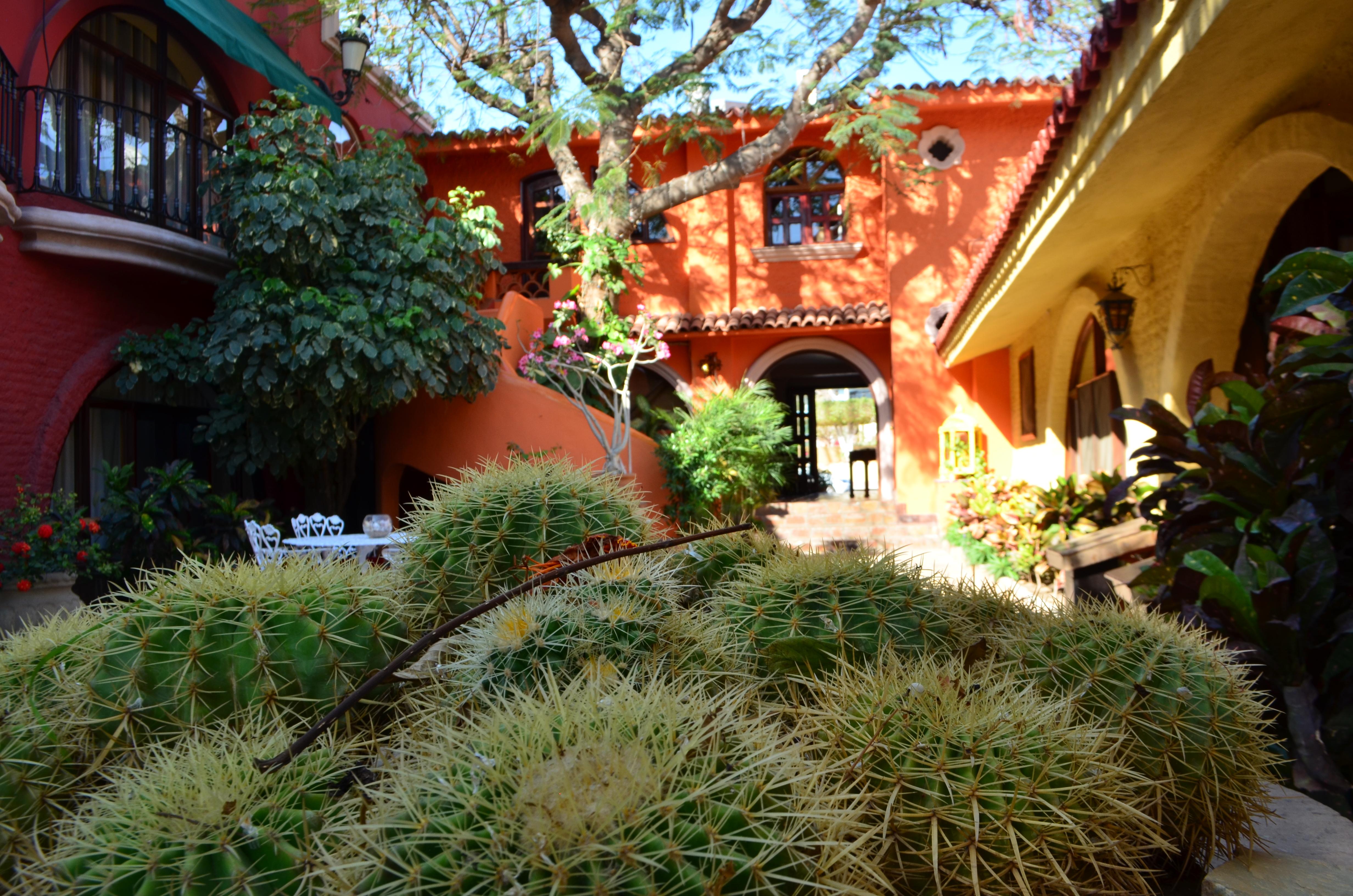 Collection O Casa Bella Hotel Boutique, Cabo San Lucas Exterior photo
