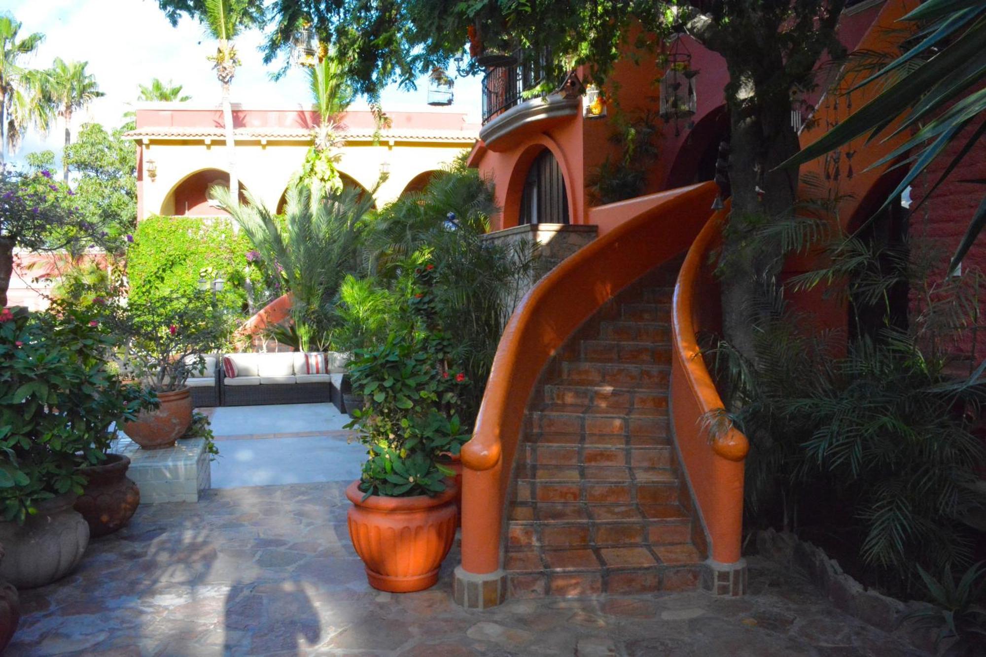 Collection O Casa Bella Hotel Boutique, Cabo San Lucas Exterior photo